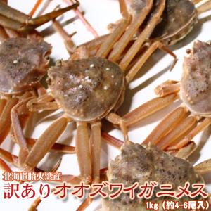 セコガニ 活 北海道産 香箱ガニ せいこ蟹 訳あり