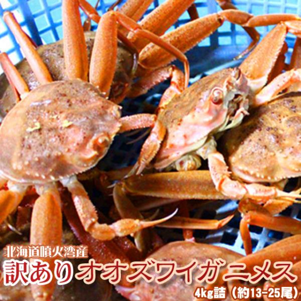 セイコガニ 活 北海道産 香箱ガニ セコガニ 訳あり 4kg詰 13-25尾 身入り7分前後  送料...