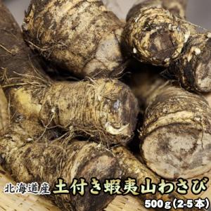 山わさび 土付き 北海道産 蝦夷山わさび 西洋わさび 500g 送料無料沖縄は送料別途加算 ホースラディッシュ レホール ひな祭り 新生活 ホワイトデー｜dousan