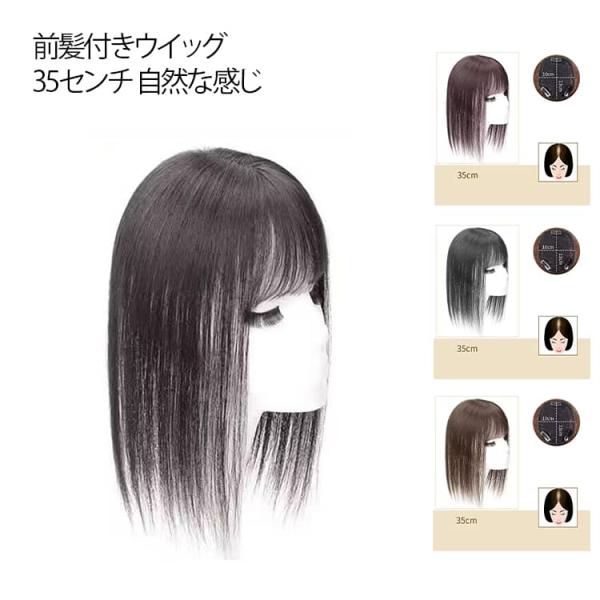 頭頂部 薄毛隠し 頭頂 バレない 普段使い 前髪ウィッグ 部分 ウィッグ 軽量 前髪付き 35cm ...