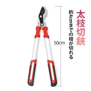 大進 枝切りはさみ 40mm 替刃式 農作業 ...の詳細画像5