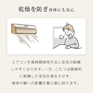 本日最大17%還元 こたつ布団 こたつ布団 正...の詳細画像3