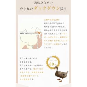 肩当て 羽毛 肩あて ダウン80% 軽いのにポ...の詳細画像5