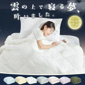 トゥルースリーパー（True Sleeper） 【正規品】新品 抗菌掛け布団