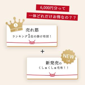 福袋 2025 色お任せ 掛け布団 シングル ...の詳細画像2