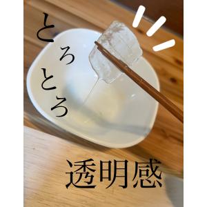 アロエ アロエベラ アロエ苗 アロエベラ苗 食...の詳細画像2