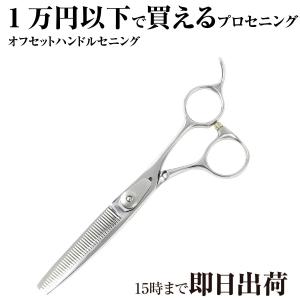 DEEDS プロ用 美容師 GTZシザー 5.5 6.0 6.25インチ 日本の鋏専門