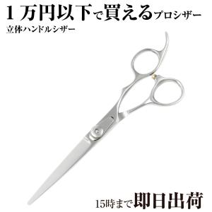 DEEDS プロ用 美容師 GTZ ピンクゴールドチタン シザー 6.0インチ 理容