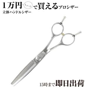 DEEDS プロ用 美容師 XXB640I セニング 6.0インチ スキ率20%前後 日本