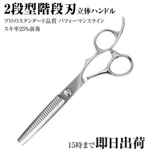 DEEDS プロ用 美容師 GTZV コバルト シザー 6.0インチ 日本の鋏専門