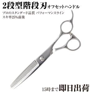 HIKARI 【正規品】HIKARI（ヒカリシザーズ）セニングシザーズ C-EVO