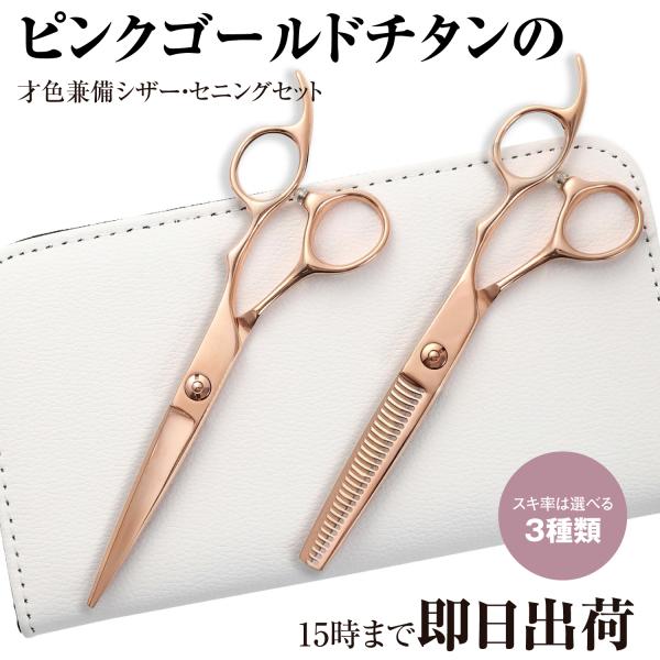 DEEDS プロ用 美容師 GTZ ピンクゴールドチタン シザー セニング セット スキ率が選べる4...