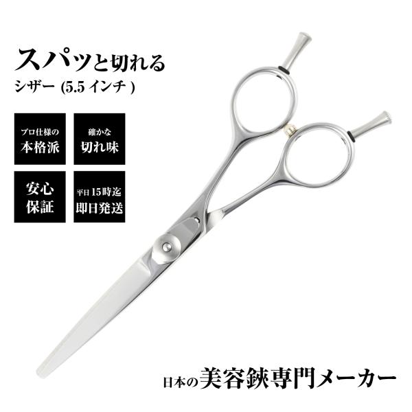 DEEDS 散髪 はさみ シザー 美容師 すぱっと切れる PP-02 シザー 5.5インチ 日本の鋏...