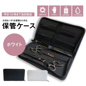 DEEDS C10 保管ケース 10丁入 ブラック/ 美容師 理容師 フローリスト