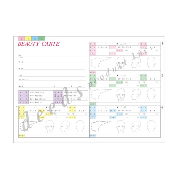 DEEDS 顧客カルテA 250枚 サロン カルテ エステ 美容室 カウンセリングシート