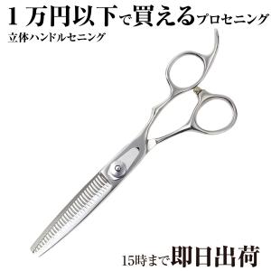 DEEDS プロ用 美容師 GTZ ブラックチタン シザー セニング セット（5.5