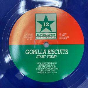 GORILLA BISCUITS / STAR...の詳細画像2