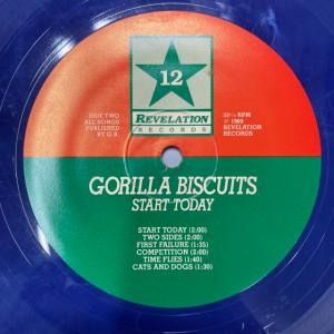 GORILLA BISCUITS / STAR...の詳細画像3