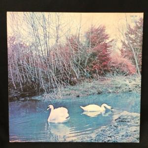 AFFINITY / AFFINITY (UK...の詳細画像1