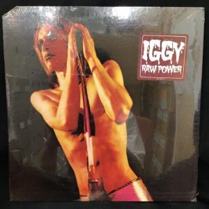 IGGY POP / STOOGES / RA...の詳細画像1