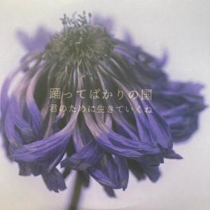 踊ってばかりの国 / 君のために生きていくね 国内盤 (オリジナル,元々帯なし/2LP)