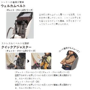 *1営業日発送*セットは2000円お得!NCD...の詳細画像4