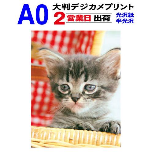 大判 デジカメプリント A0サイズ 1枚 2営業日目出荷