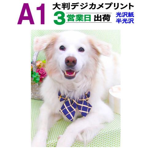 大判 デジカメプリント A1サイズ 1枚 3営業日目出荷