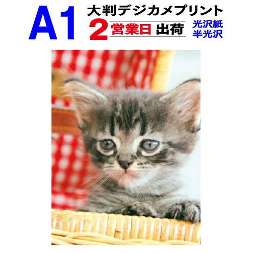 大判 デジカメプリント A1サイズ 1枚 2営業日目出荷