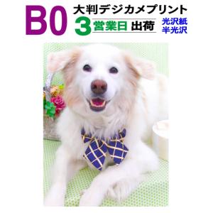 大判 デジカメプリント B0サイズ 1枚 3営業日目出荷｜dpris