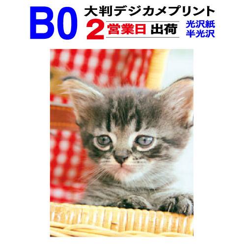 大判 デジカメプリント B0サイズ 1枚 2営業日目出荷