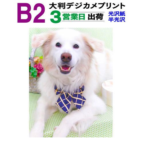 大判 デジカメプリント B2サイズ 1枚 3営業日目出荷