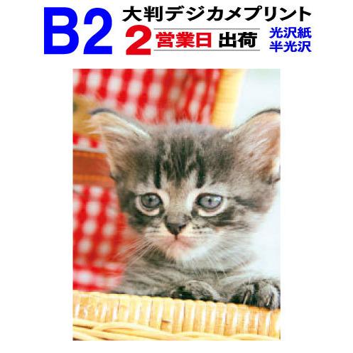 大判 デジカメプリント B2サイズ 1枚 2営業日目出荷