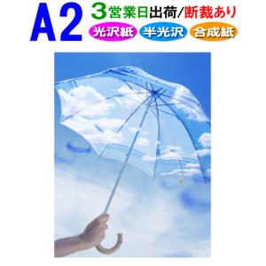 ポスター印刷 A2サイズ 1枚 3営業日目出荷｜dpris