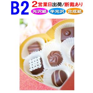ポスター印刷 B2サイズ 1枚 2営業日目出荷の商品画像