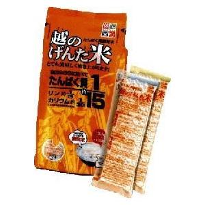 越のげんた米(炊飯米) 130g×10 6袋