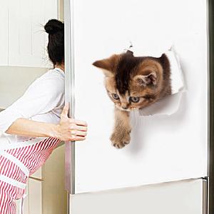 超リアル☆3D 猫ステッカー 騙し絵 トリック...の詳細画像1