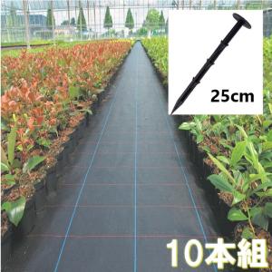 10個入り 防草シート 固定ピン ブラック 25cm シート固定 PP杭 防風ネット 雑草 防虫 防雨 マット固定 安全 園芸 畑