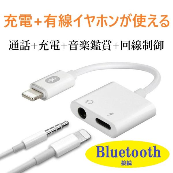 2in1 ライトニング iPhone/iPad対応 変換プラグ 3.5mm 変換アダプター イヤホン...