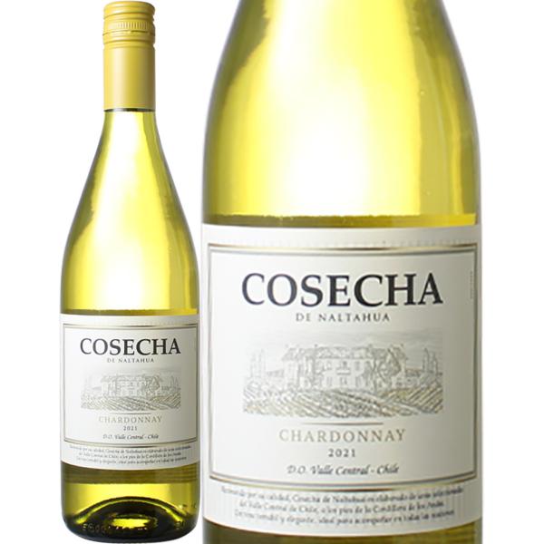 ワイン チリ コセチャ シャルドネ 2023  白 ※ヴィンテージが異なる場合があります。
