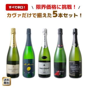 ワイン ワインセット スパークリング 5本 格安 辛口 泡 カヴァ カバ セット シャンパン製法 瓶...
