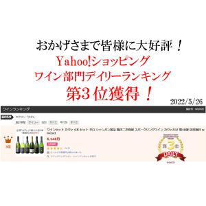 ワイン ワインセット スパークリング カヴァだ...の詳細画像2