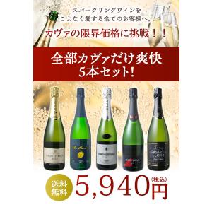 ワイン ワインセット スパークリング カヴァだ...の詳細画像1