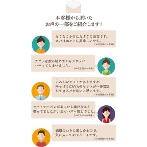 ワイン ワインセット スパークリング カヴァだ...の詳細画像4