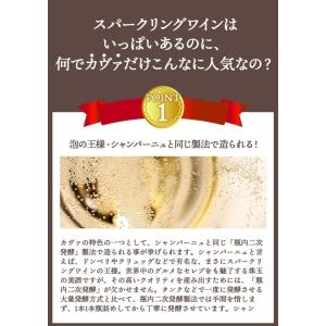 ワイン ワインセット スパークリング カヴァだ...の詳細画像5