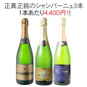 パロマの日 数量限定！トートバッグ付き！セット商品 テレマナ 3本