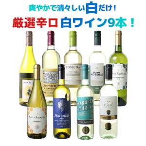 サッポロ バリキング 24度 瓶 1.8L 1800ml リキュール : ハードリカー