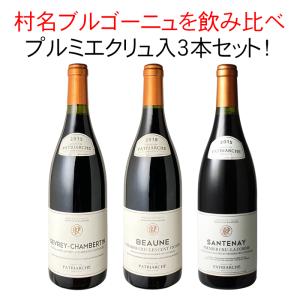 ワイン ワインセット 赤 赤ワイン 銘醸 上級 ブルゴーニュ 3本 セット プルミエクリュ入  村名ブルゴーニュ  飲み比べ  wineset 送料無料 第2弾  ギフト