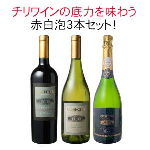 星座シリーズ！】 ステラーセレクション ブナハーブン 2008 ジェミニ