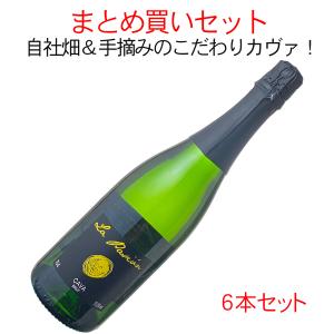 在庫限りで終売！】 青花汾酒 (ふんしゅ) 20年陳醸 42度 500ml : お酒